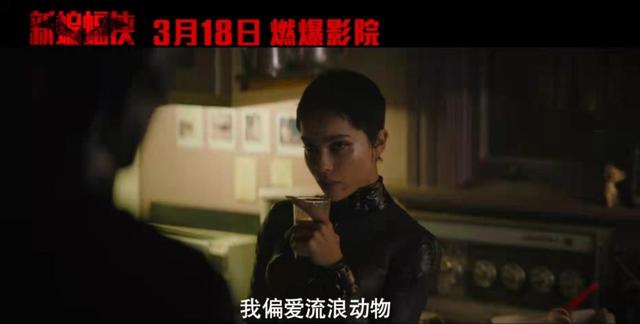 猫女和蝙蝠侠有关系吗，罗伯特解释不为角色健身原因