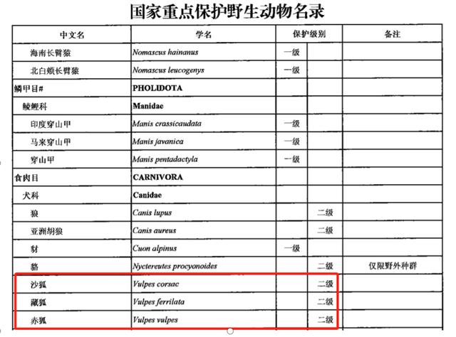 迪士尼雪宝的鼻子，冰雪奇缘2结局彩蛋是什么