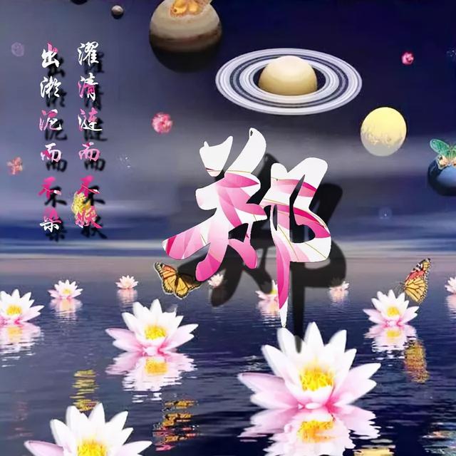 荷花头像图片大全，荷花头像高清图