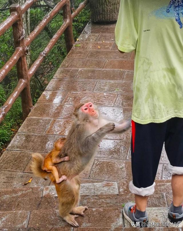 去张家界跟团游，张家界旅游纯玩团攻略和花费