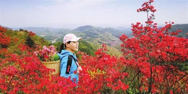 常用对联25对，天下智慧写在这25副对联里