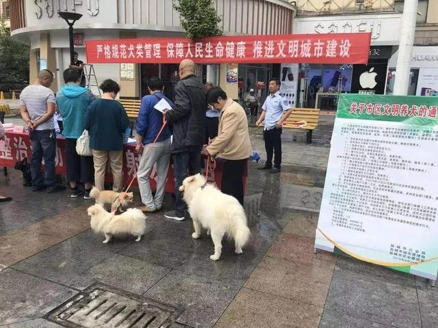 物业属于什么行业，物业行业是属于什么服务行业（带你先看看这账务处理）