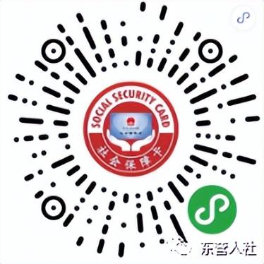 职业年金个人账户查询，职业年金个人权益记录单