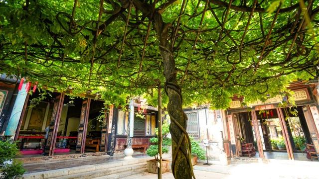 春节建水之旅，8种方式打开建水之旅