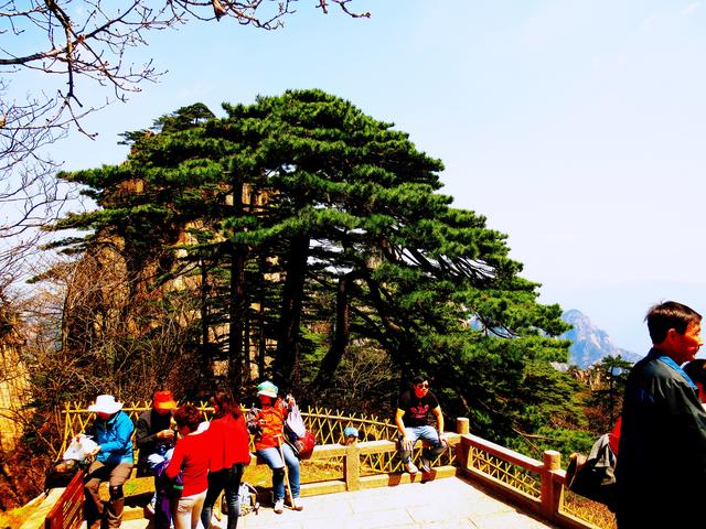 黄山四绝之瑰丽的云海奇观，安徽黄山现云海景观