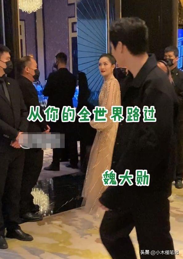 孙俪和谢娜的年龄差距，孙俪谢娜成都出席活动