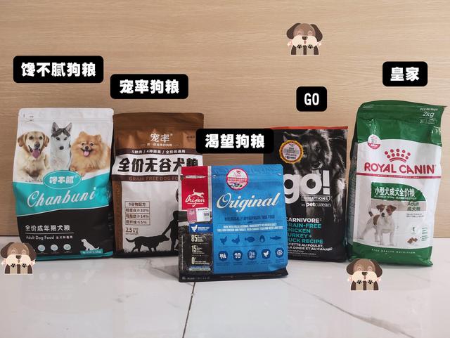 柯基犬的优缺点，柯基犬有什么优点和缺点（为什么不建议养公柯基）