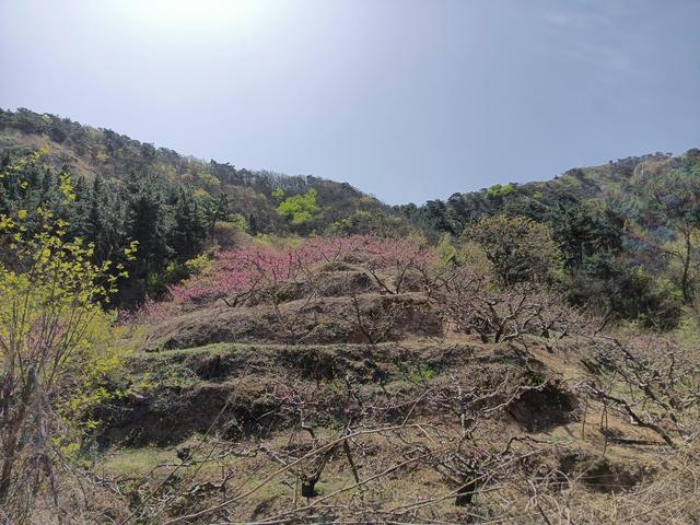 大连炮台遗址，图文丨旅順蛮子营炮台