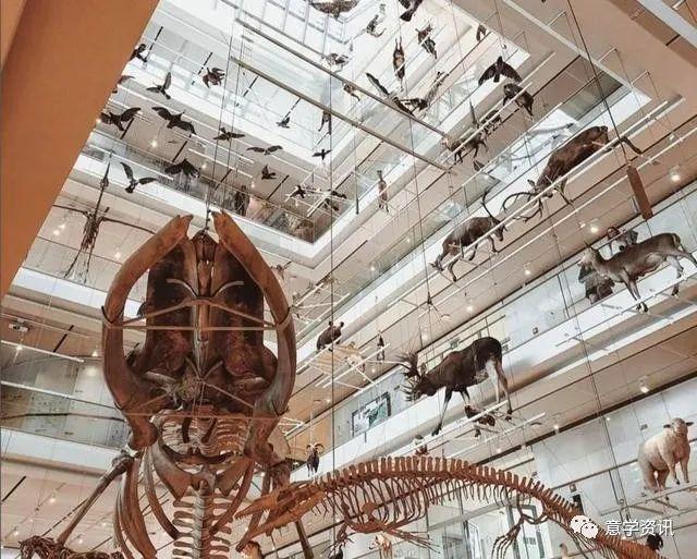 意大利旅游景点，意大利的特色旅游景点（意大利旅行必去的十个地方）