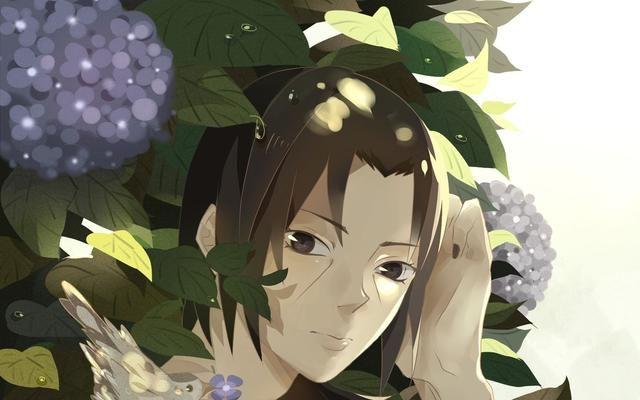 火影鼬在战斗方面究竟强在哪里呢，鼬的实力究竟如何