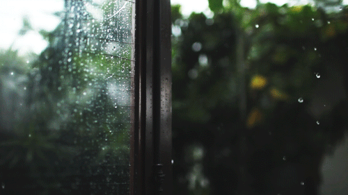 窗前听雨意境，在静怡的时光里听雨