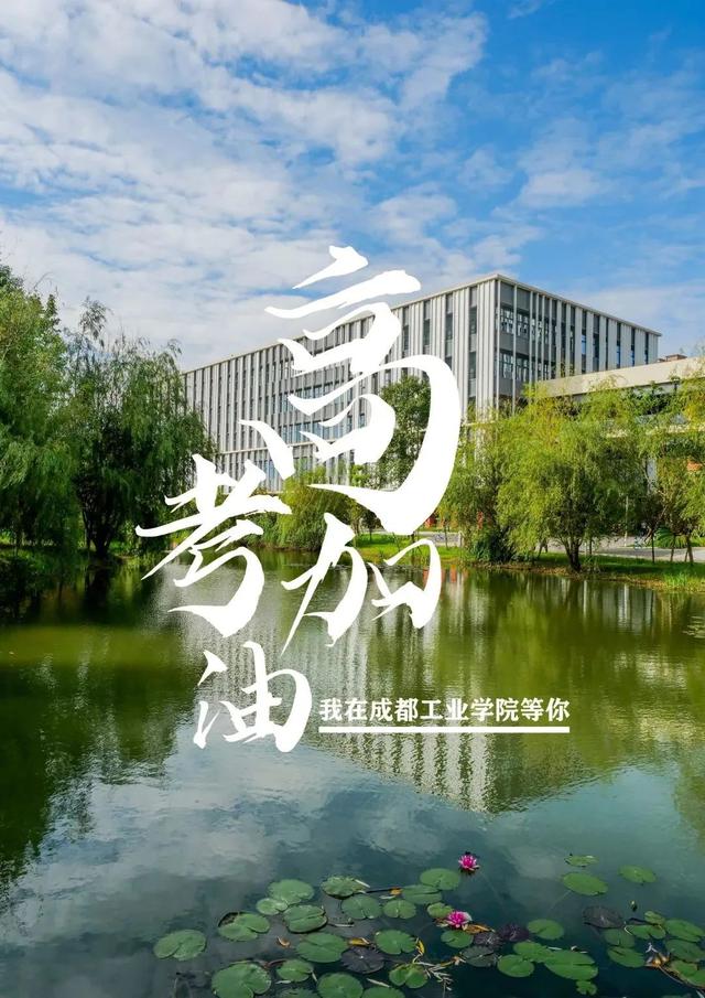 成都市有哪些高校属市属高校，经费不如市属高校