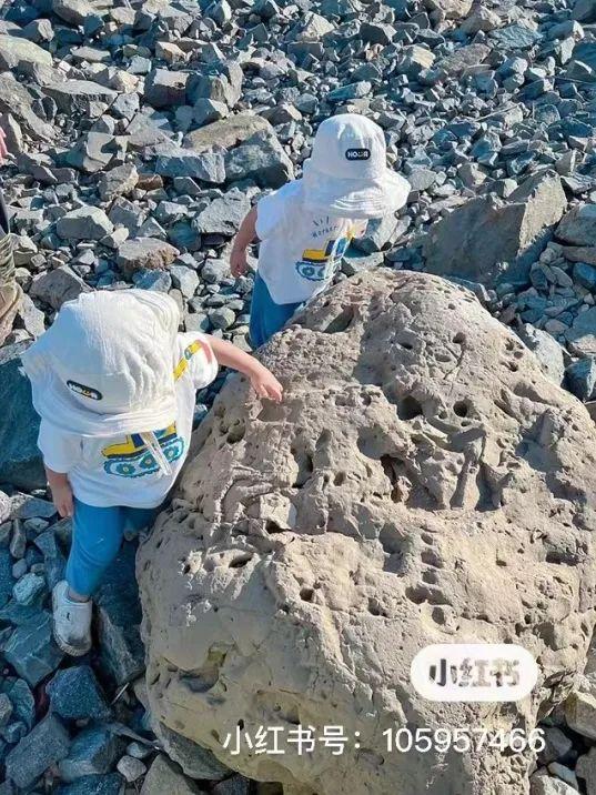 洞头冬天还能不能赶海，天气这么好去洞头赶海啊