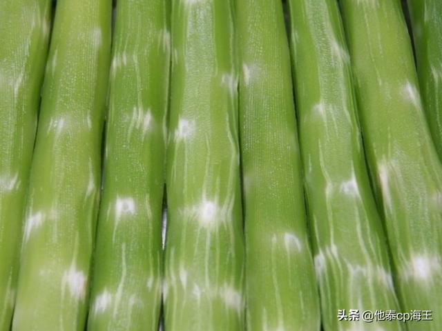 莴苣怎么做才好吃，莴笋这样做太好吃了天天吃都不腻（莴苣这样做才是极品）