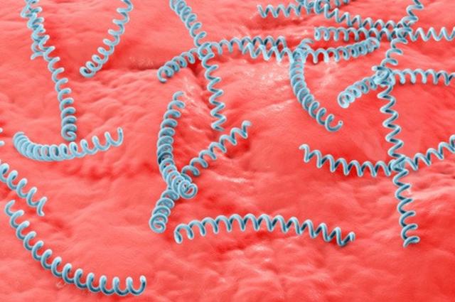 常见性传播疾病有哪些，7种通过性传播的疾病