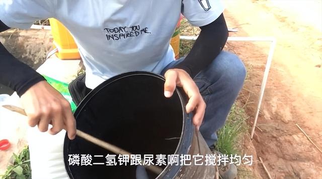 磷酸二氢钾的用途及注意事项，磷酸二氢钾喷施很简单