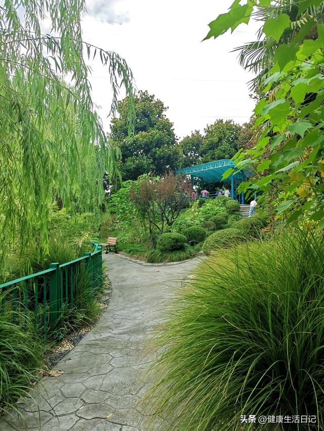 上海最值得徒步的路线，徒步上海普陀区甘泉公园