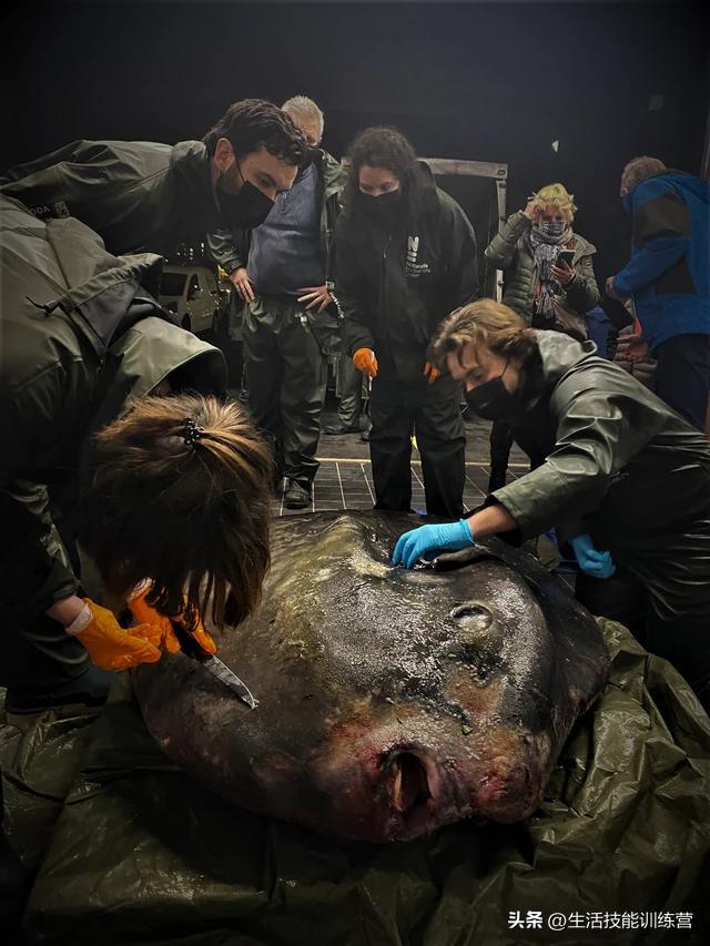 人生艺术照欣赏，浅谈油画超写实人体艺术