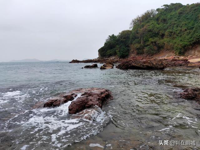 杨梅坑鹿嘴山庄，杨梅坑深圳旅游（鹿嘴山庄寻鹿攻略）