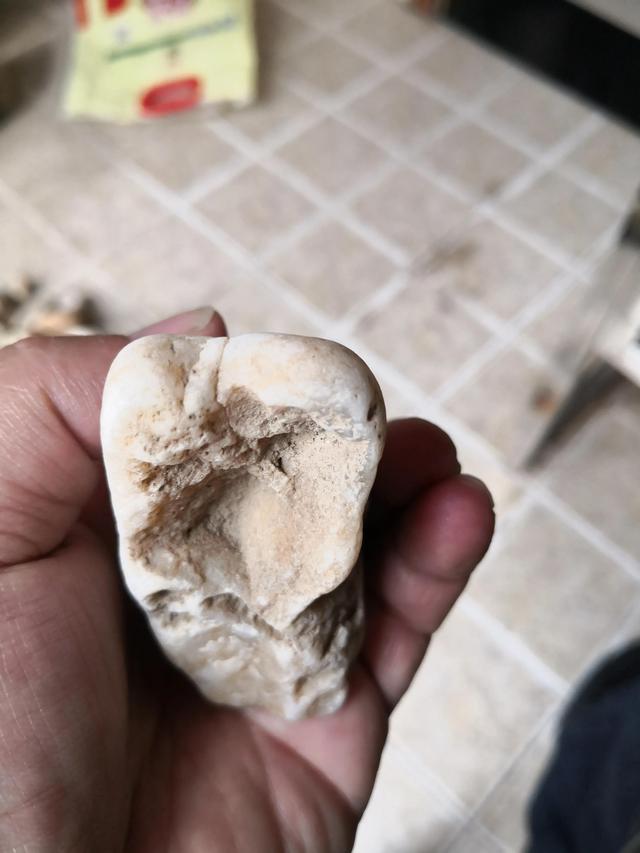 河流寻石记，渭河拾石记