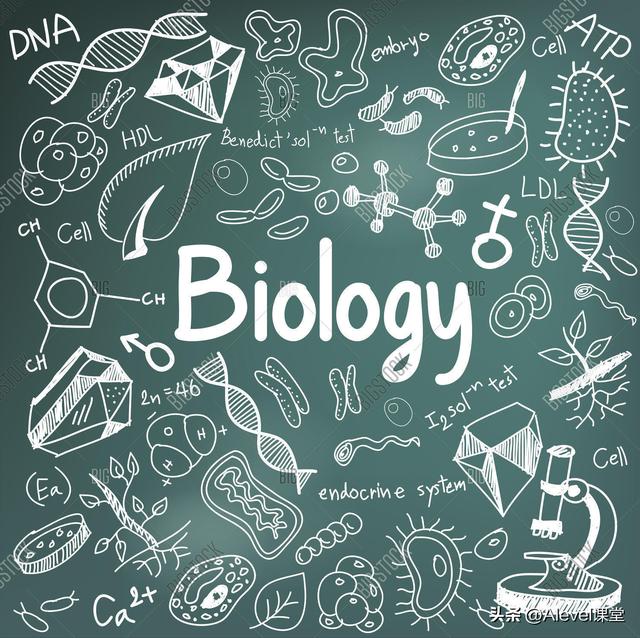 生物学apc是什么意思，A-level生物知识点笔记