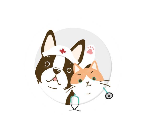 英短蓝猫容易生什么病，蓝猫“遗弃率高”不是没有道理