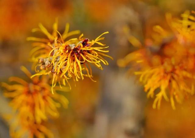 雅芳止汗露新包装，九款止汗露测评