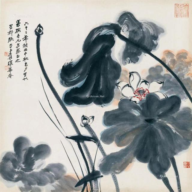 禅意写意荷花200幅，大千居士荷花图赏析