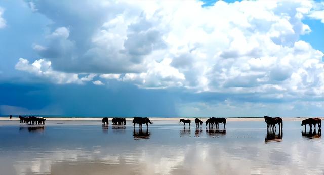 呼伦贝尔是怎么来的，呼伦贝尔名称的由来