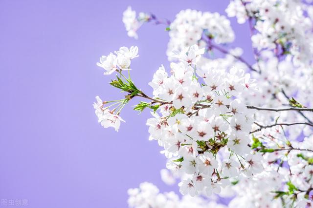 如何增进夫妻感情，夫妻增进感情的7个方法（与日常小事息息相关）