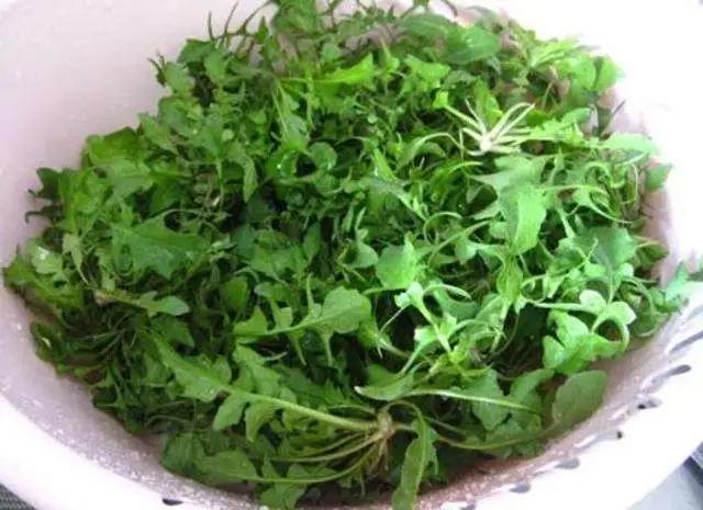 立春必吃的十道菜，它是天然养肝菜