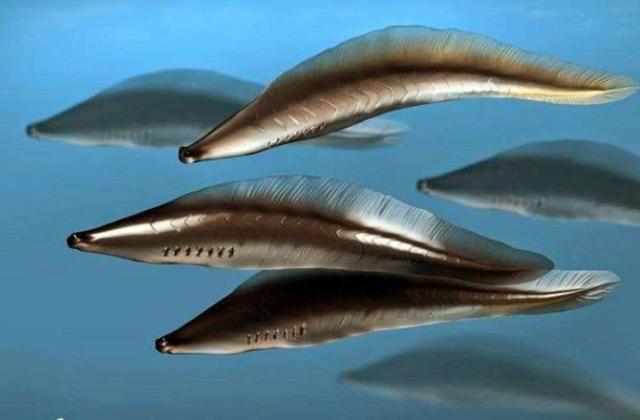 人类的进化史到底是什么样的，人类进化史上有13万年的空白,过程中发生了什么