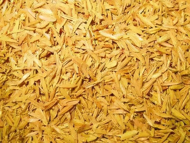 养兰花什么植料最好，这“3种”植料