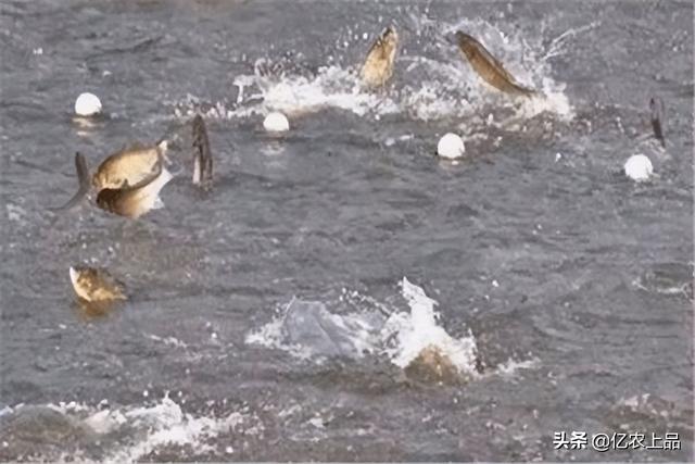 碱度，ph达到多少是碱度