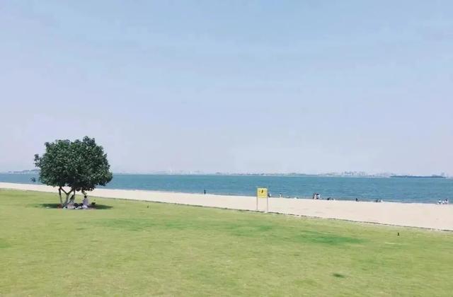 厦门赶海最全攻略，感受花式赶海的快乐