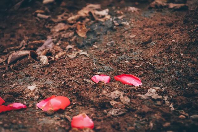 石油资源会枯竭吗，假如石油全部用完了