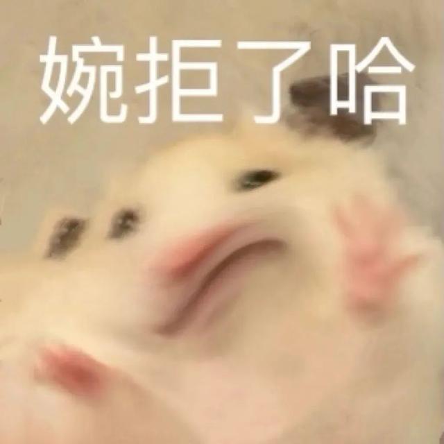 小仓鼠动态迷你表情包，变形脸仓鼠可爱老鼠