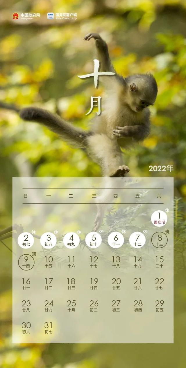 清明节放几天假期，清明放几天假（清明节放假通知）