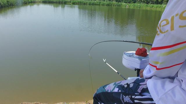 秋季钓鲫鱼技巧，浮钓鲫鱼的三大技巧（5个爆护招数要常用）