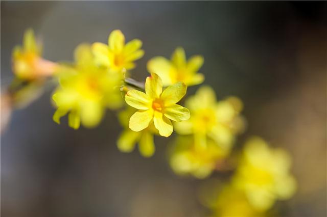 淮安哪个区最繁华，江苏淮安最值得去的地方