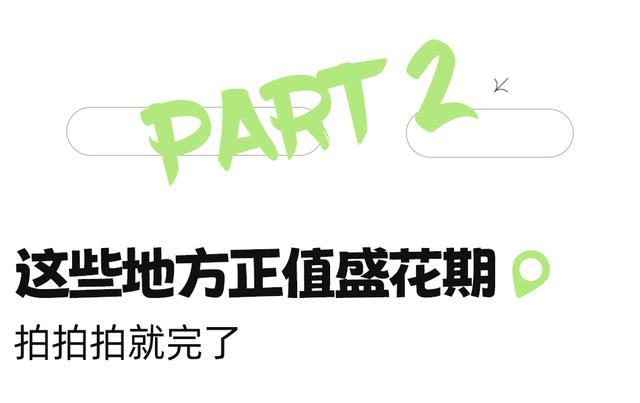 9月成都周边最适合露营，不出成都市区打卡9大露营野餐拍照地