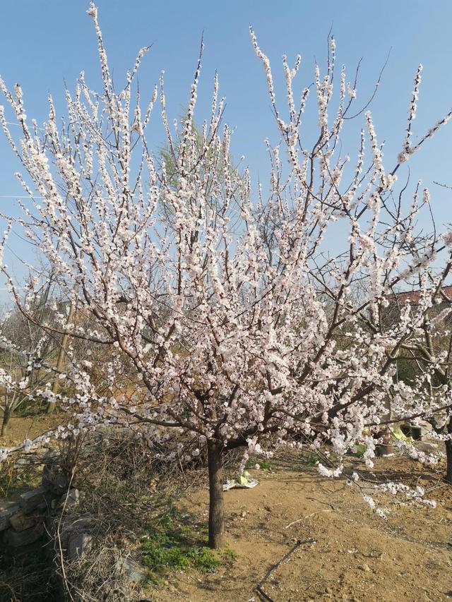 四月份是什么季节，四月份的时候是什么季节了