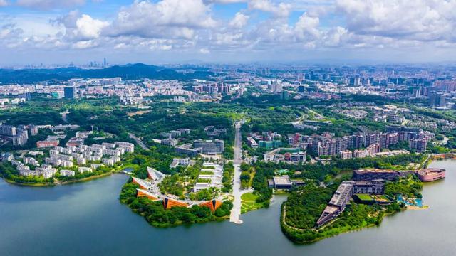 我们身边的国货有哪些，为什么新国货在各地崛起