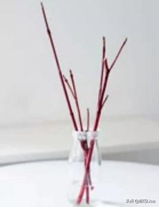 插花怎么弄出漂亮花束，掌握这“三个”原则