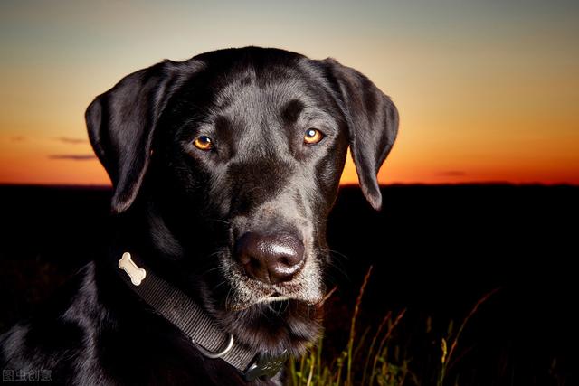 相亲聊天话题100个，相亲可以聊些什么话题