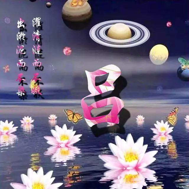 荷花头像图片大全，荷花头像高清图