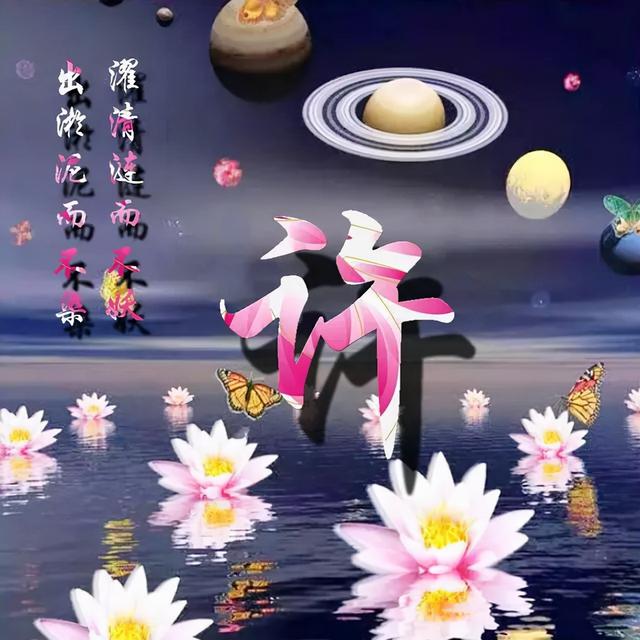 荷花头像图片大全，荷花头像高清图