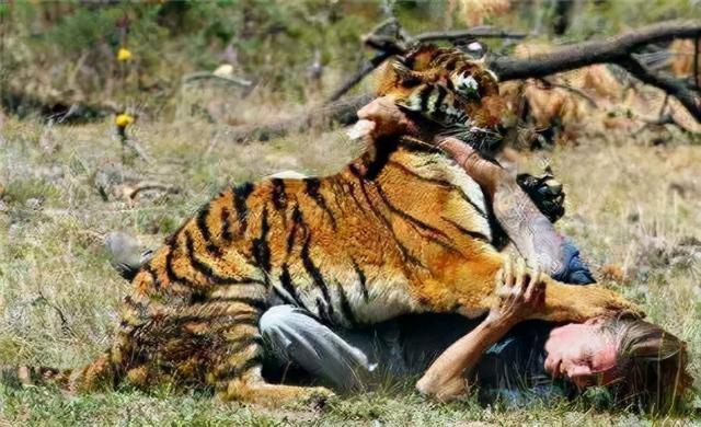 上海野生动物园熊吃人，我们为什么要救黑熊