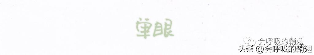 绿尾大蚕蛾出现在几月份，自博馆绿尾大蚕蛾开始羽化啦