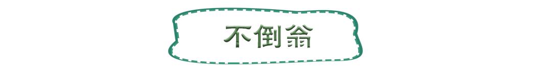 南山旅游攻略必去景点，南山旅游景区花开正好时